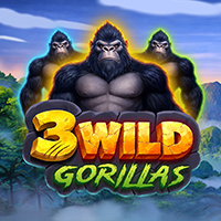 3 Wild Gorillas
