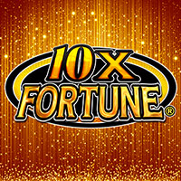 10X Fortune in Steppers