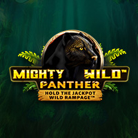 Mighty Wild Panther in Home_NewGames