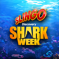 Slingo Shark Week in Now_streaming