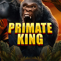 Primate King in Top_redtiger
